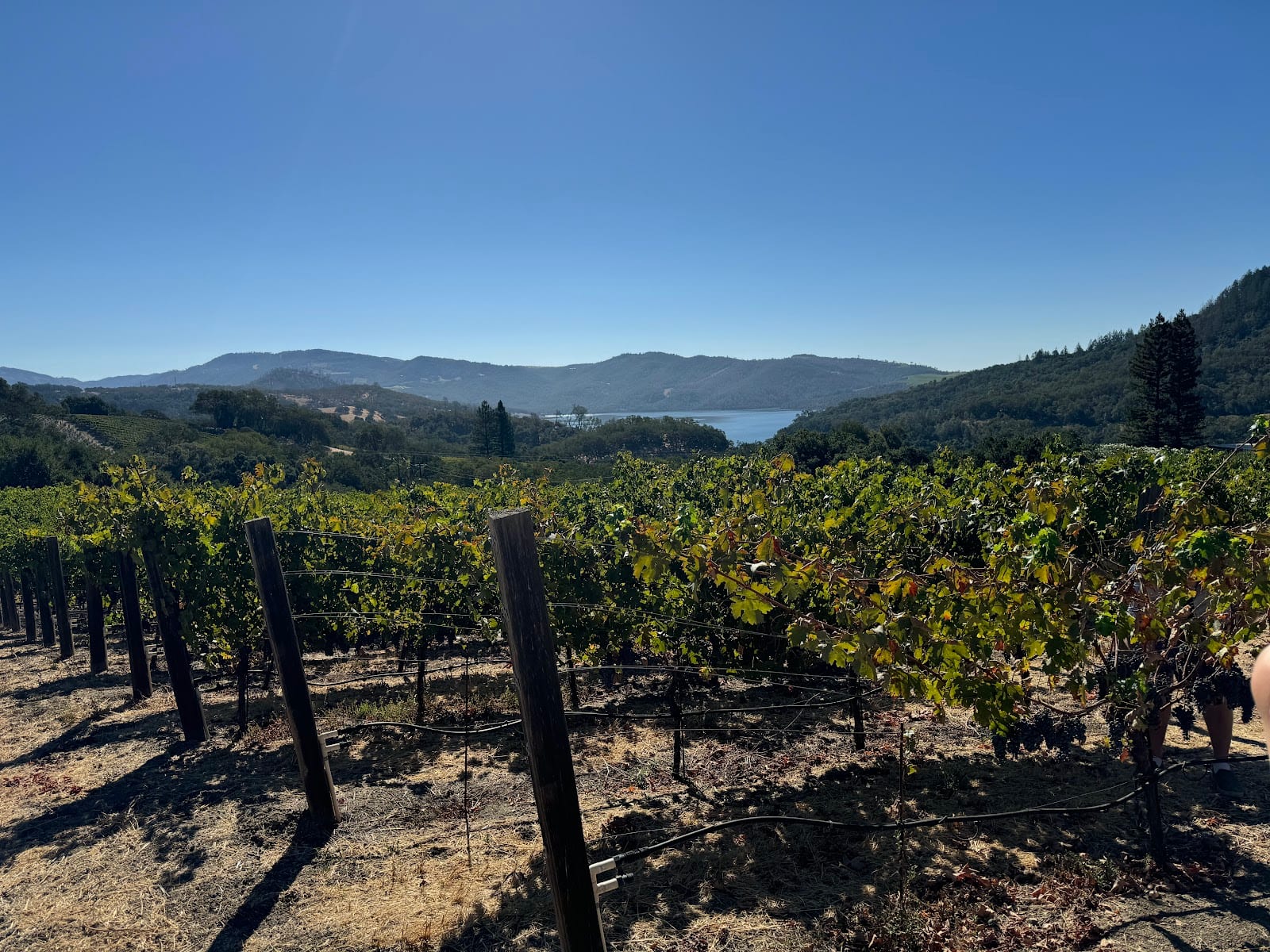 Aonair Winery & Caves, photo 4