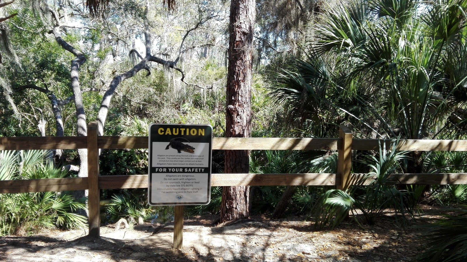 Oscar Scherer State Park