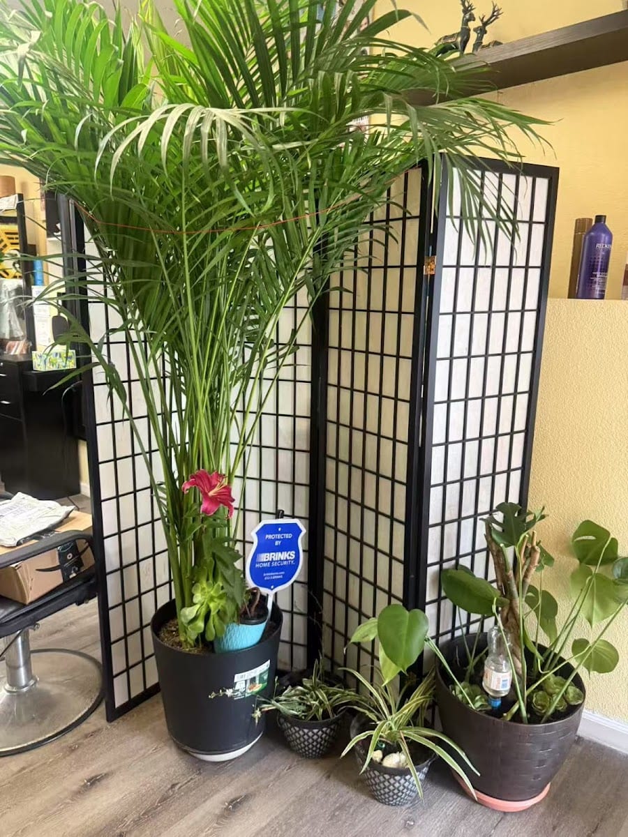 BLUEMOON MASSAGE AND SPA, photo 4