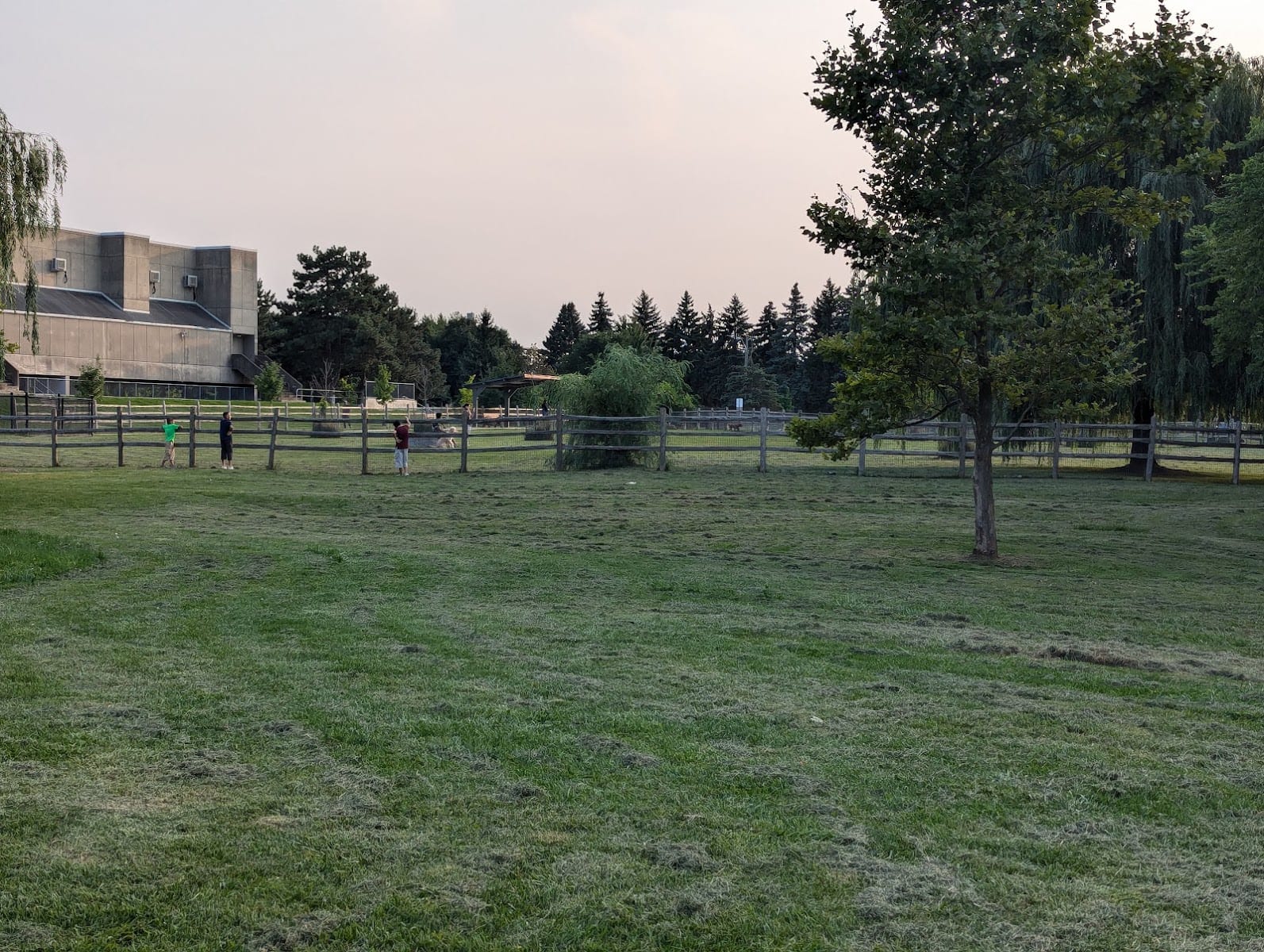 Off-Leash Dog Park, photo 3