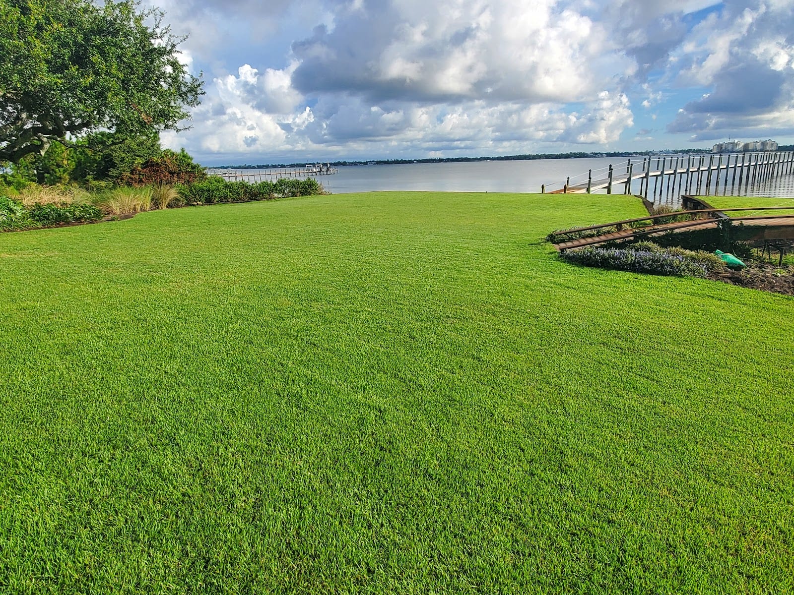 Turf Pro Pest Control