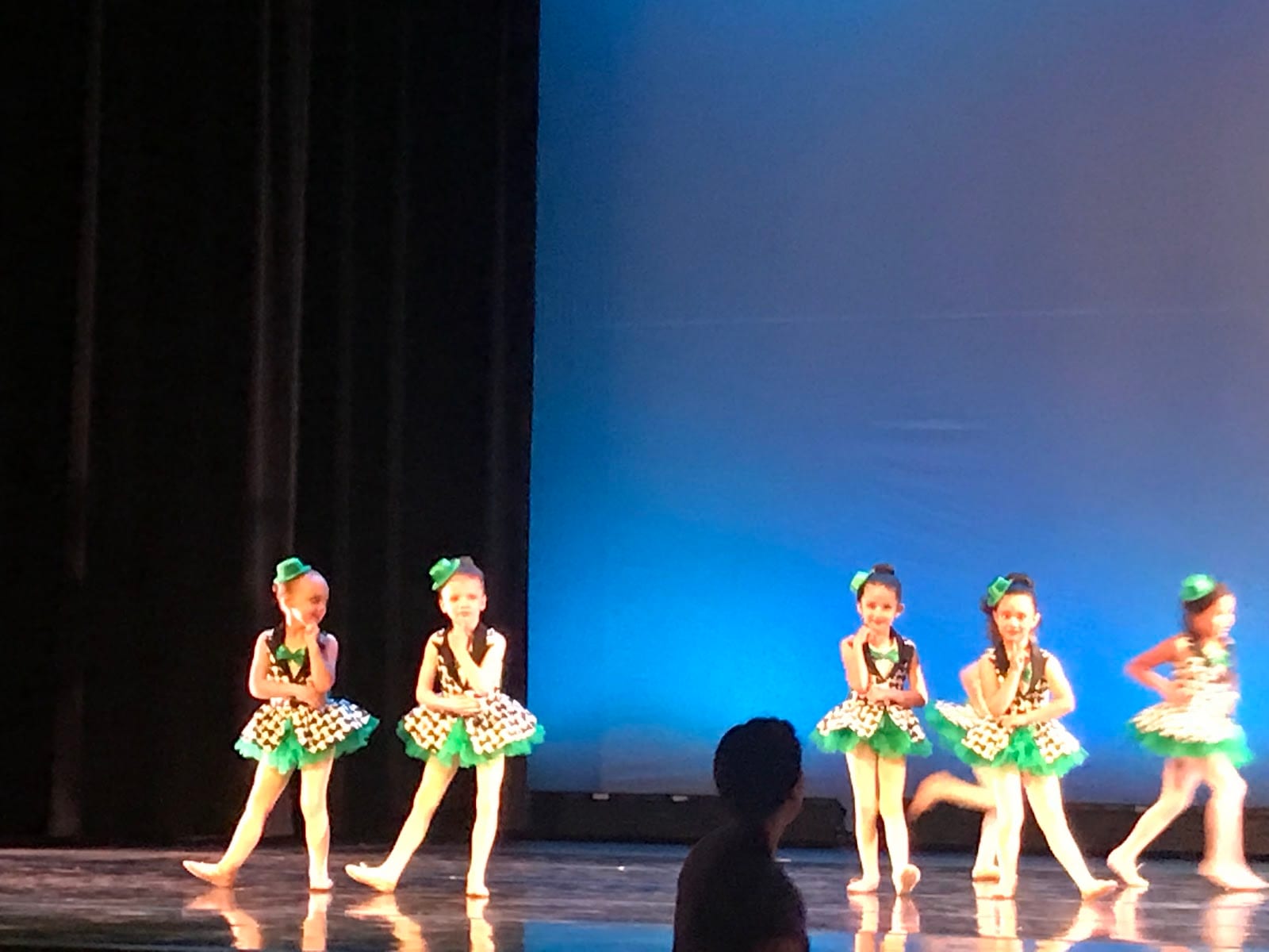 Flor de Liz Dance