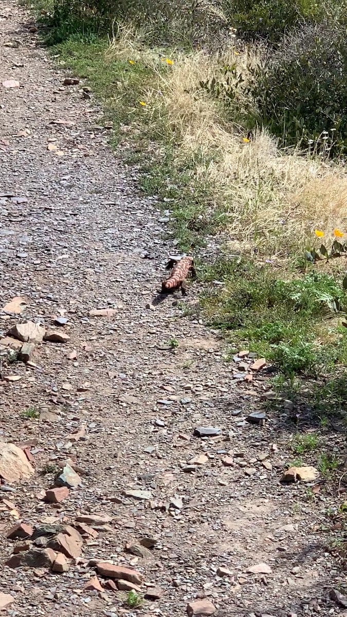The Trails at Desert Mountain (Private access), photo 2