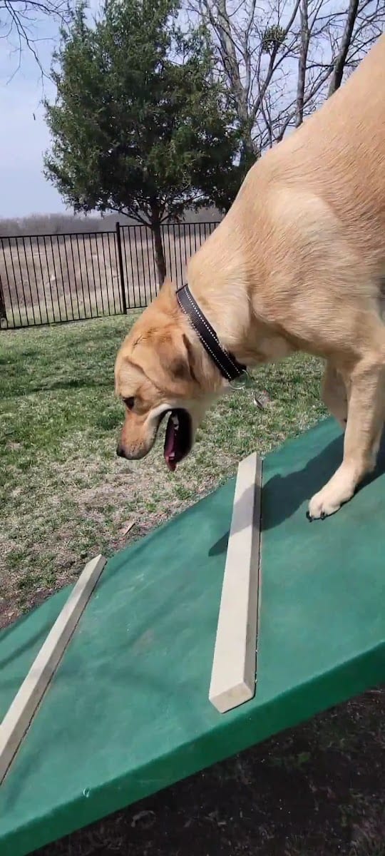 Union Park Bark Park, photo 2