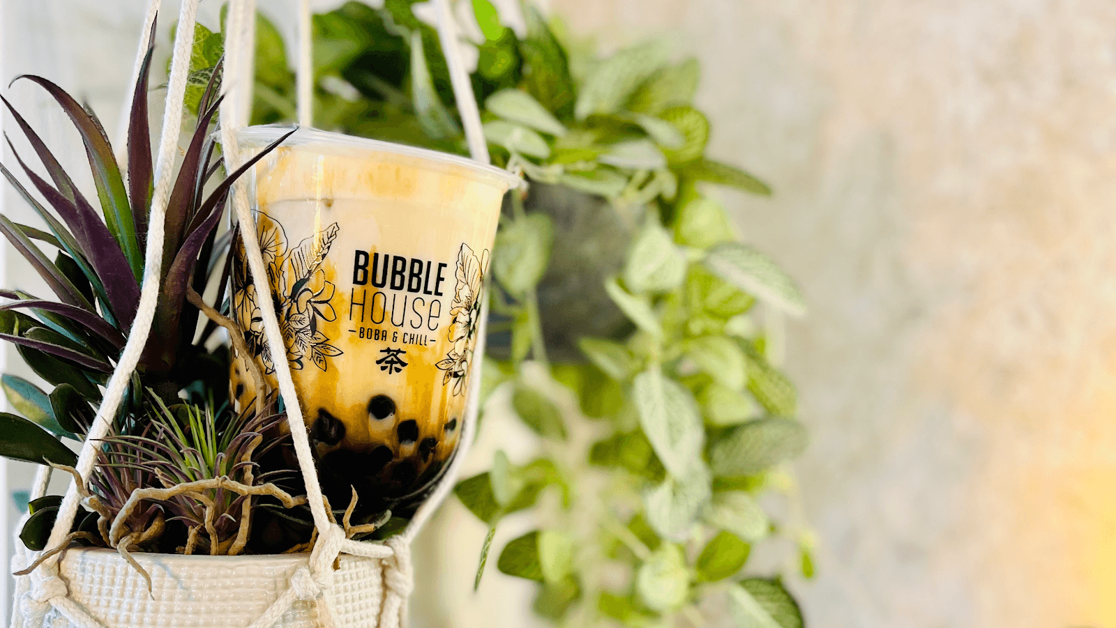 Bubble House - Bubble Tea Bar, photo 4