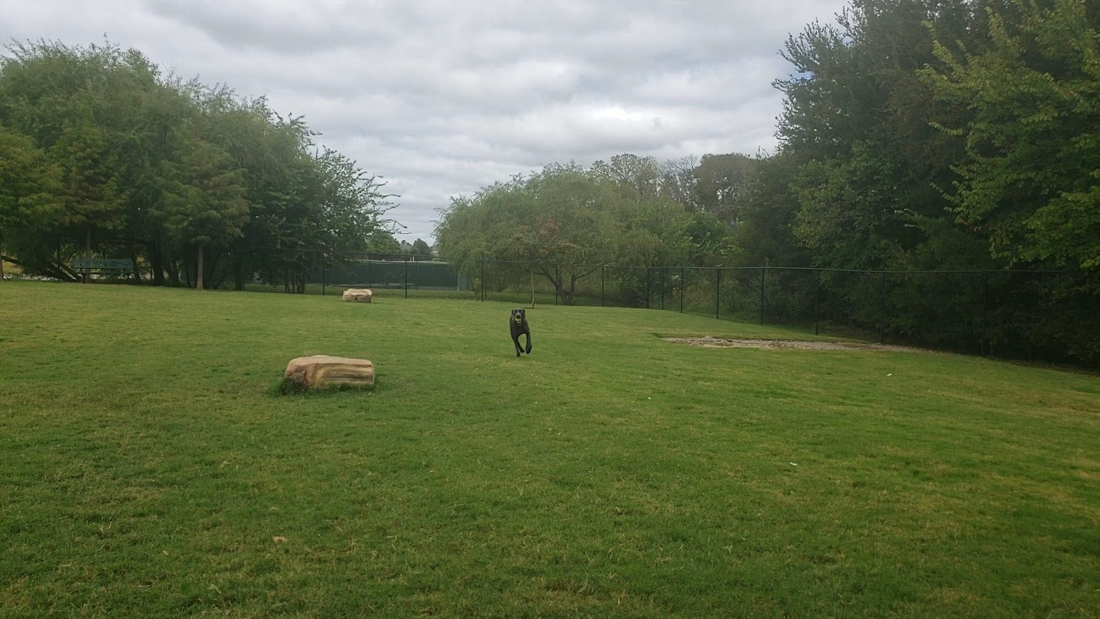 Paloma Creek Dog Park, photo 3
