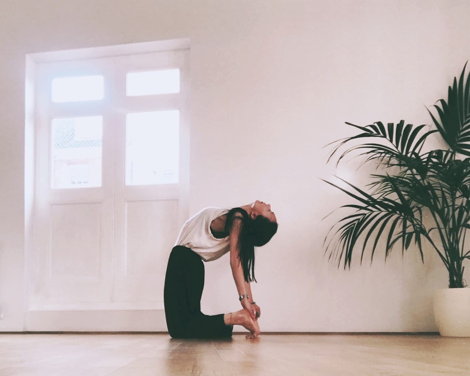 Yoga & Ayurveda with Ivana, photo 3