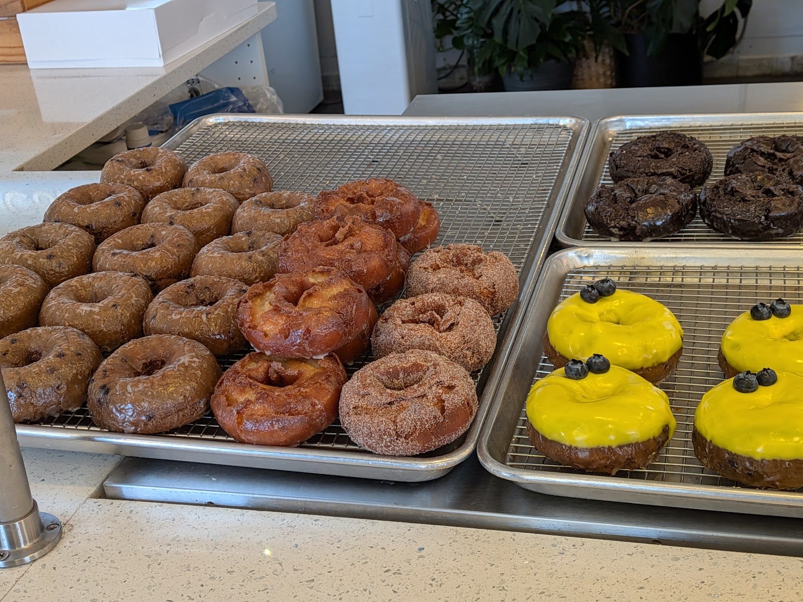 Twinkle Donuts, photo 4