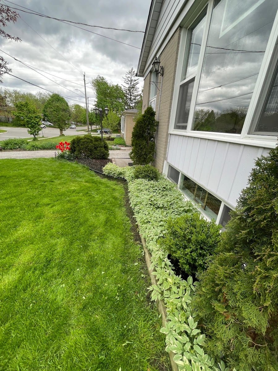 Backyard Buddies Landscaping, photo 2