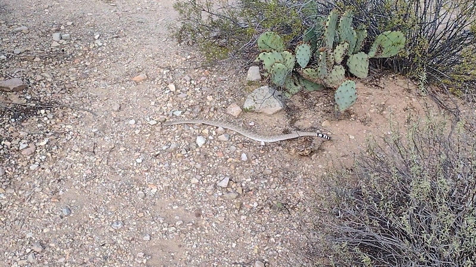 Greasewood Park, photo 2