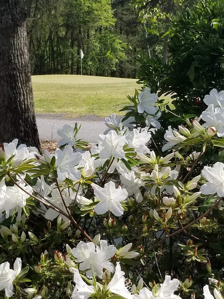 Stone Creek Cove Golf Course, photo 2