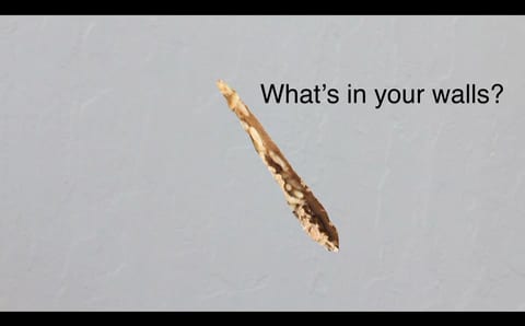 Poor Boy Termite Control, photo 3