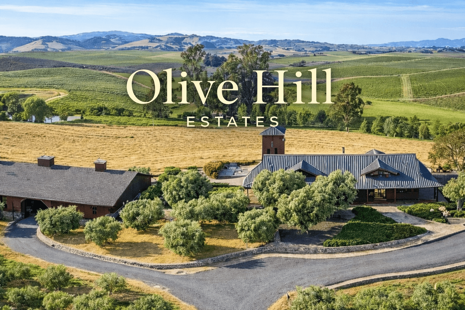 Olive Hill