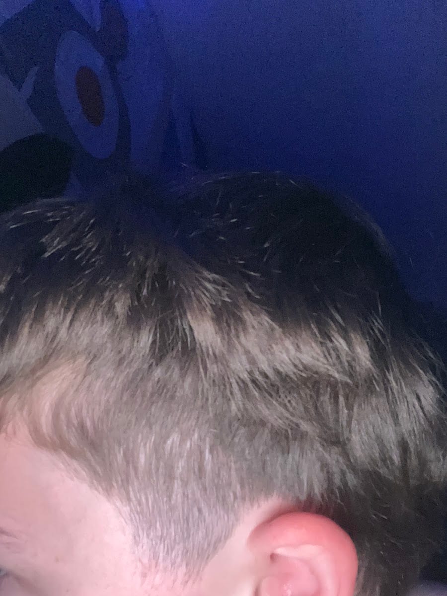 Sport Clips Haircuts of Rangeline, photo 3