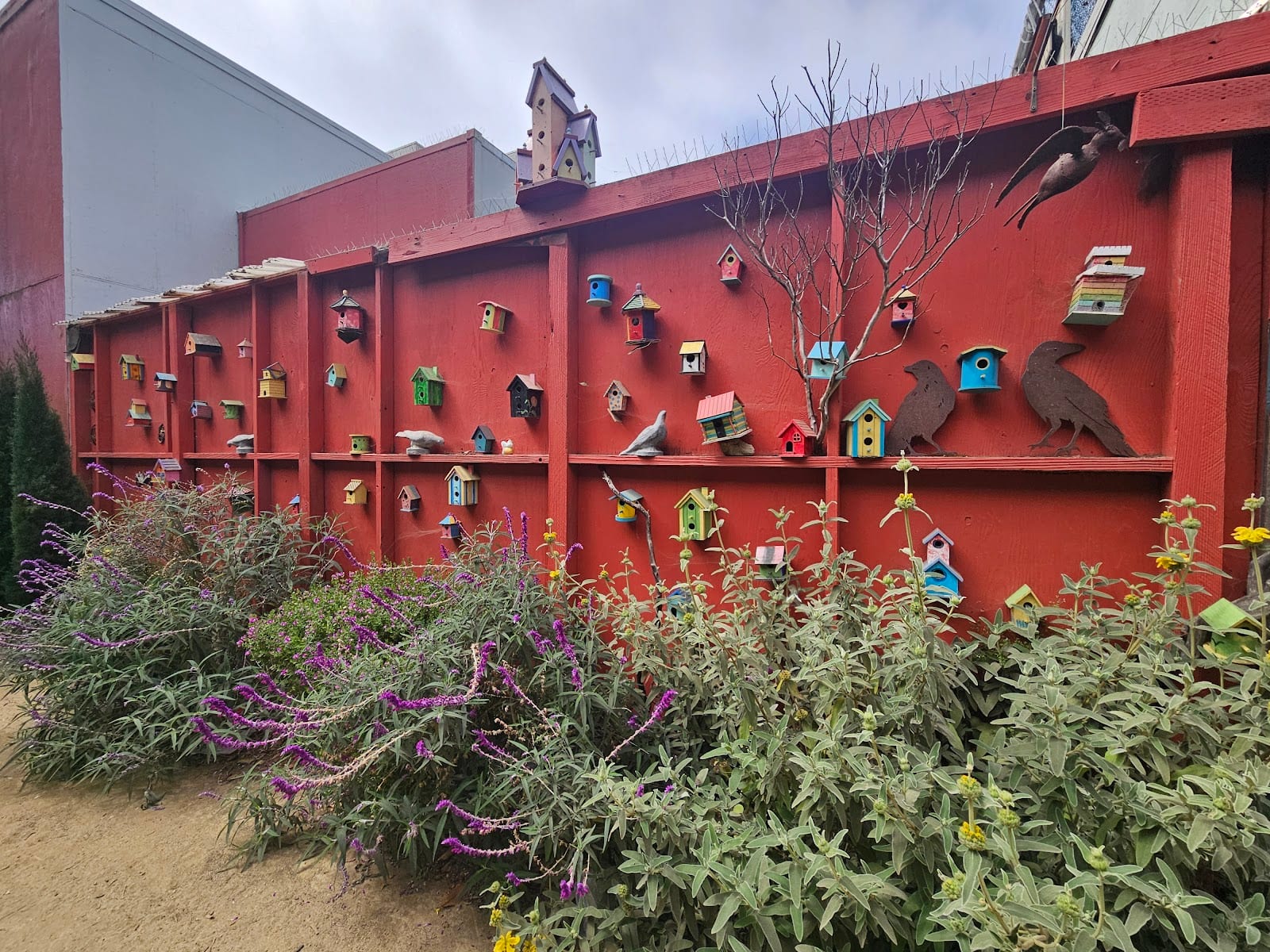 Burrows Pocket Park, photo 2
