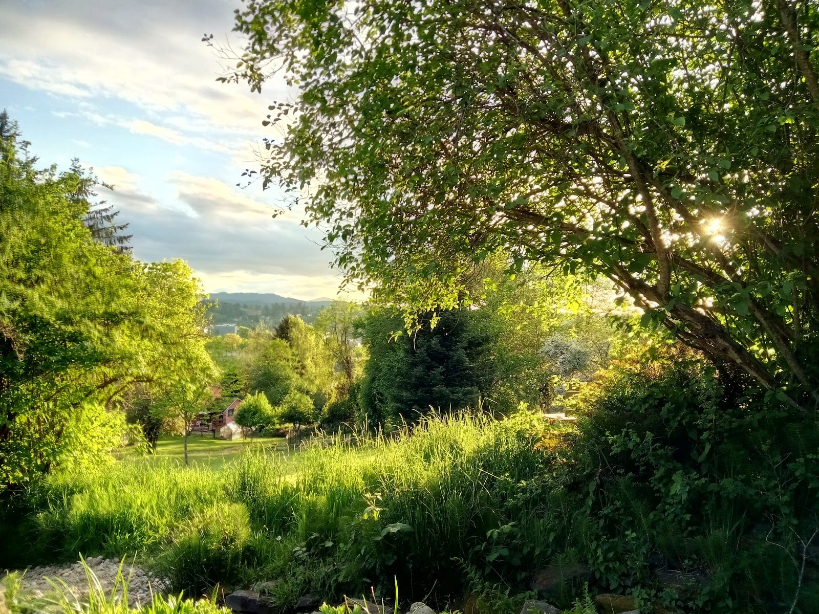 Bigelow Springs Park