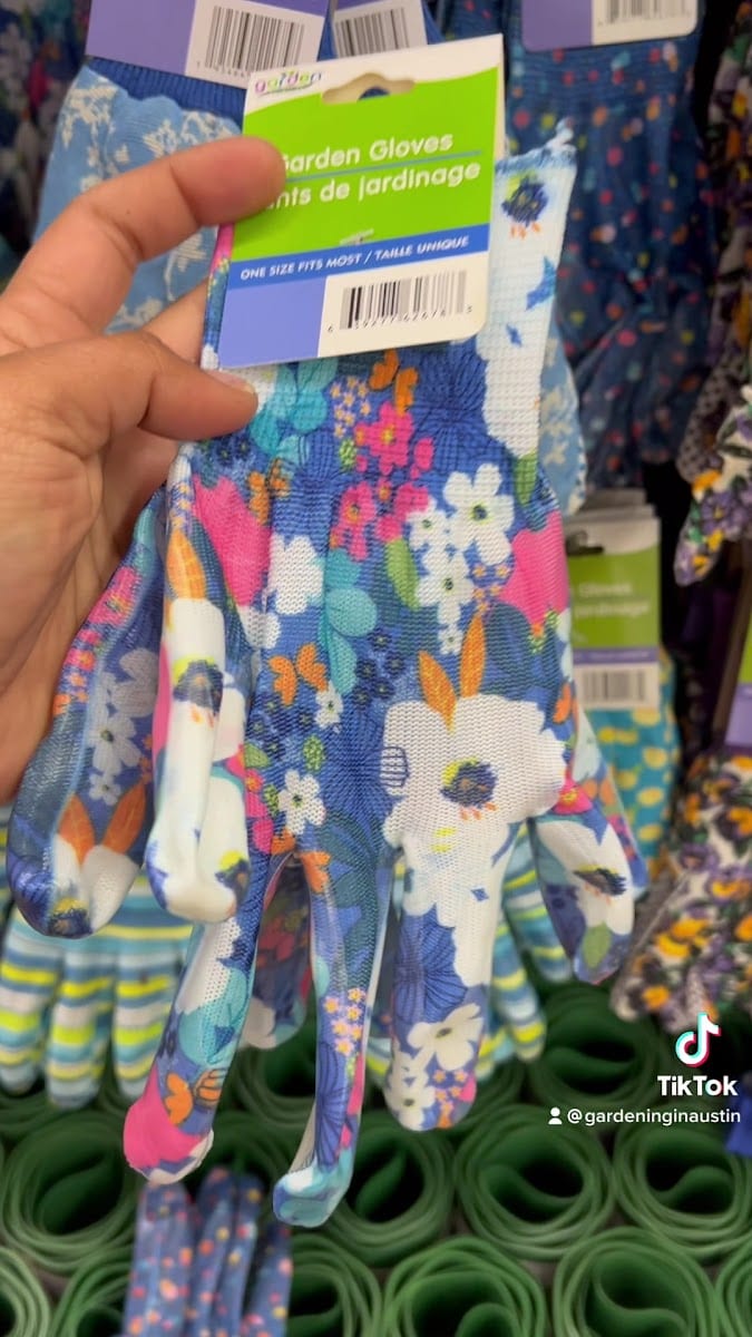 Dollar Tree, photo 3