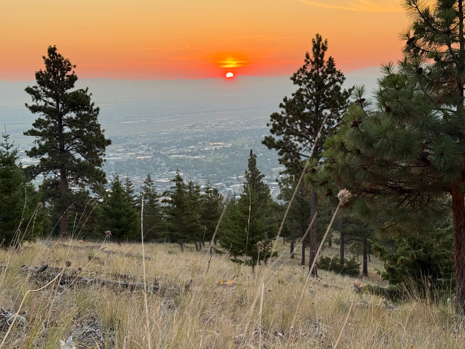 Mount Helena Trailhead