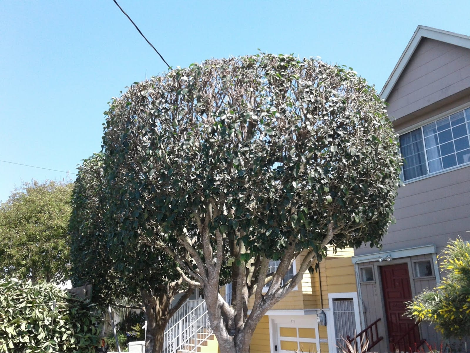 Brother's gardening LLC