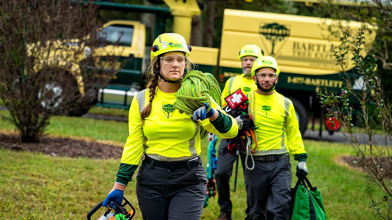 Bartlett Tree Experts, photo 2