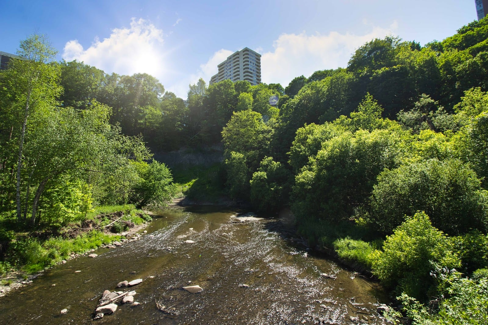 Charles Sauriol Park