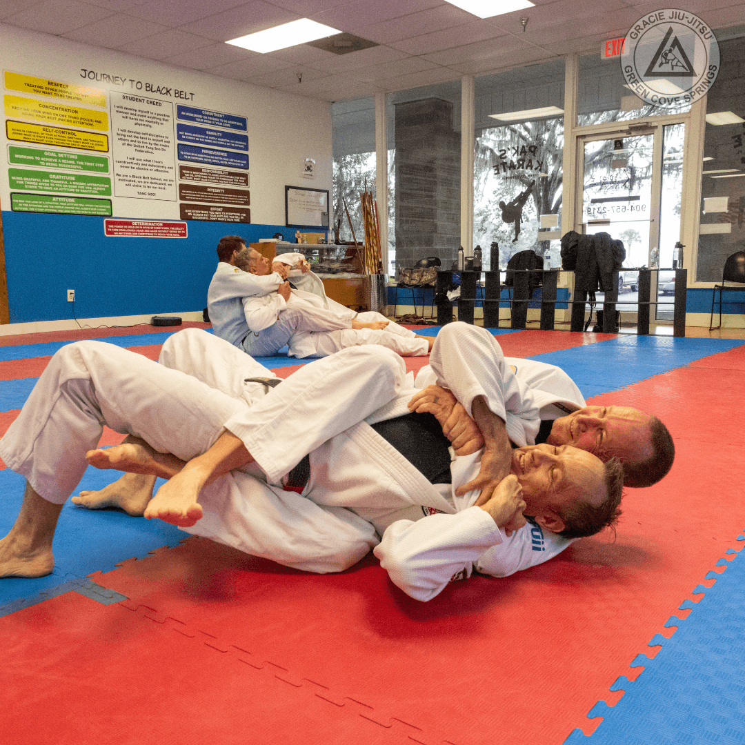 Gracie Jiu-Jitsu Green Cove Springs, photo 4