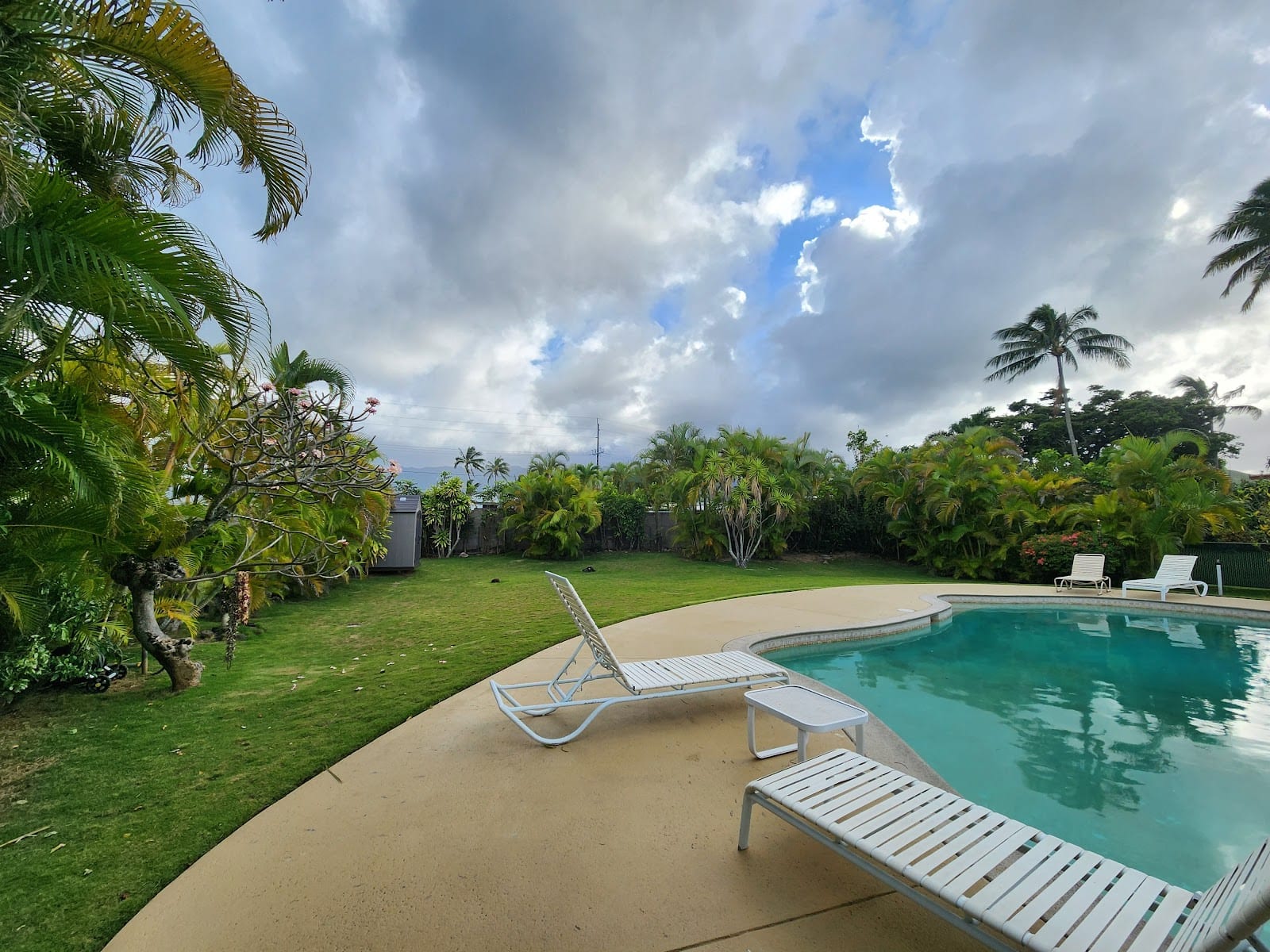 Papaya Paradise Bed & Breakfast, photo 2