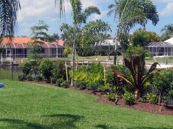 Luis Ibarra Landscaping, Inc DBA Mark Peters Landscape Co, photo 3