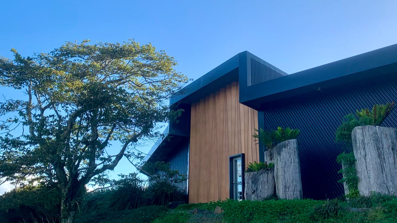 Cedar Gallery, photo 2