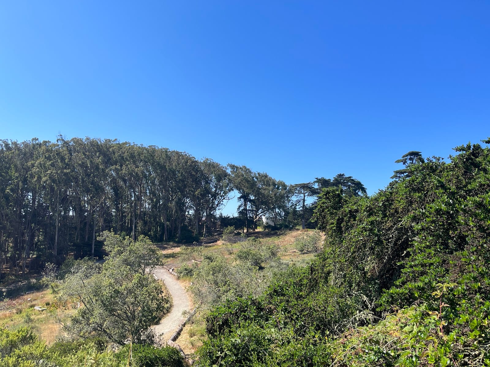 Ecology Trail, photo 3