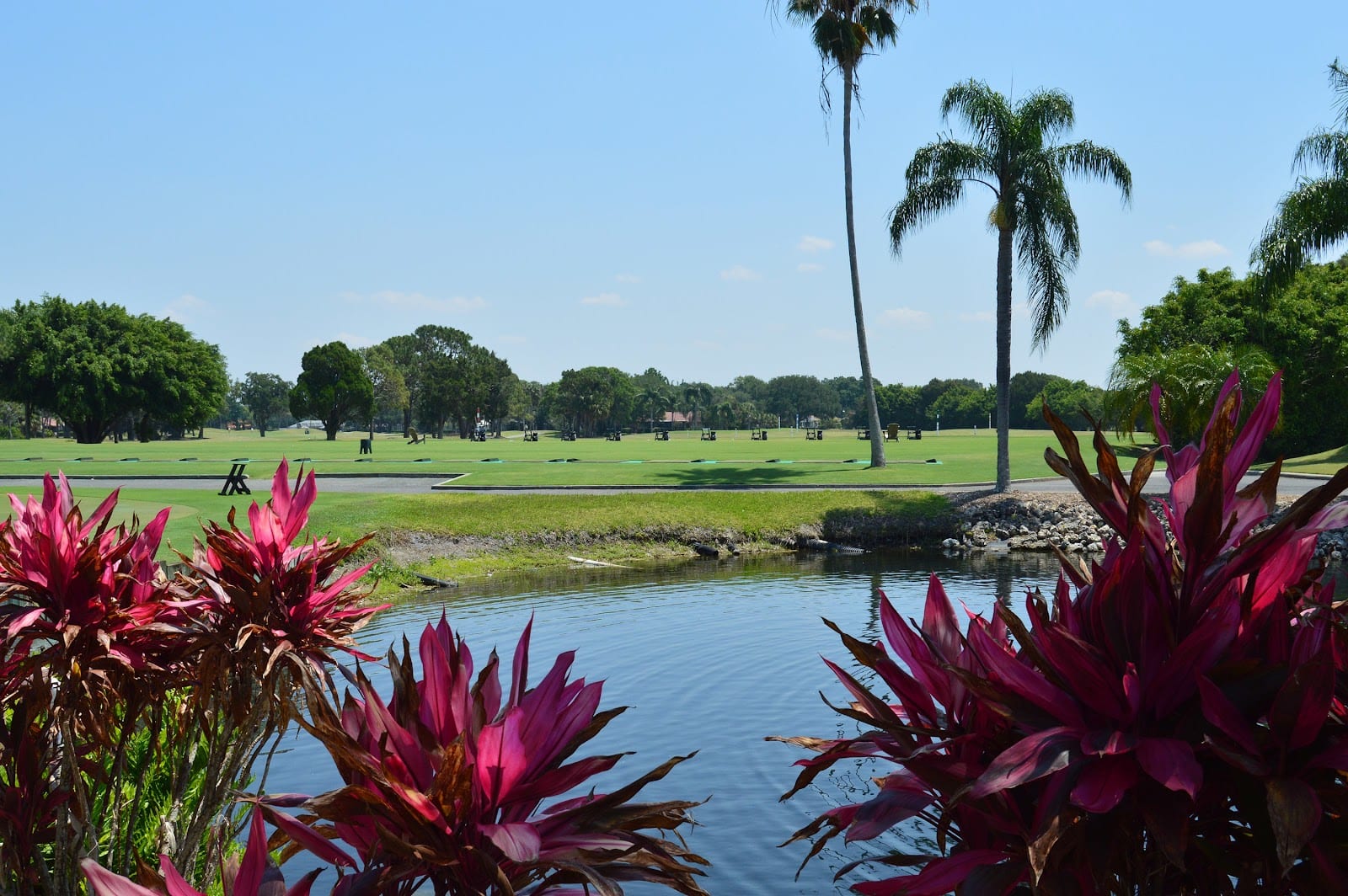 Meadows Golf Club, photo 3