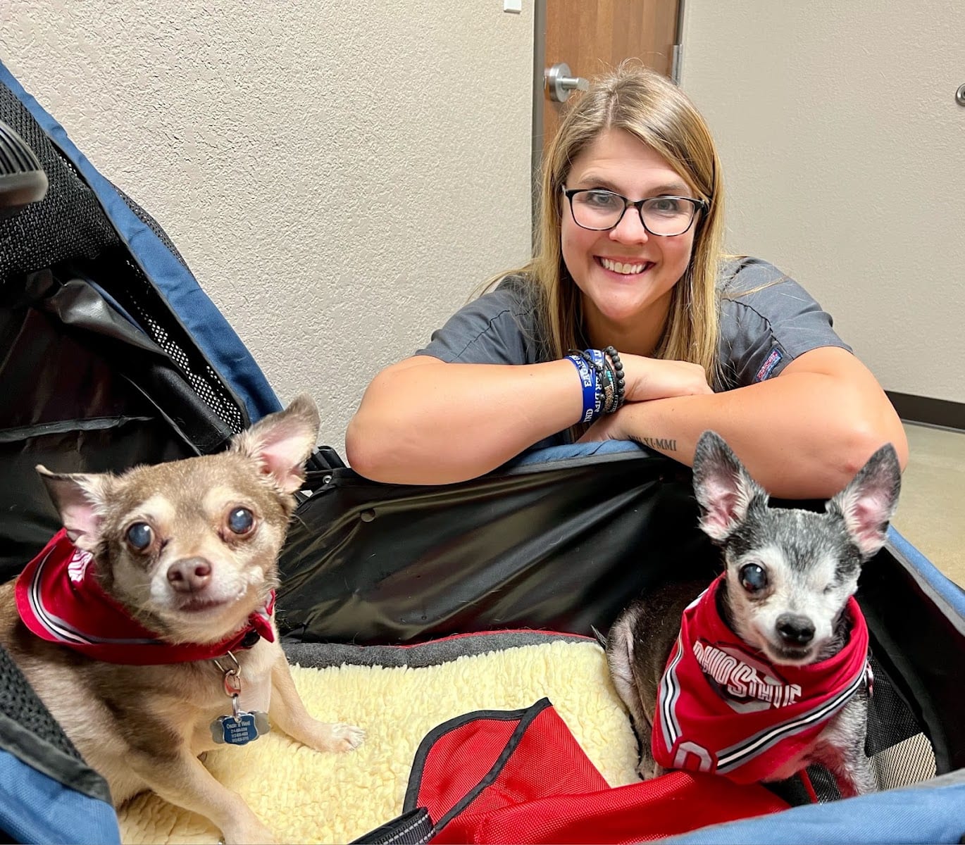 Animal Dermatology Clinic, photo 2