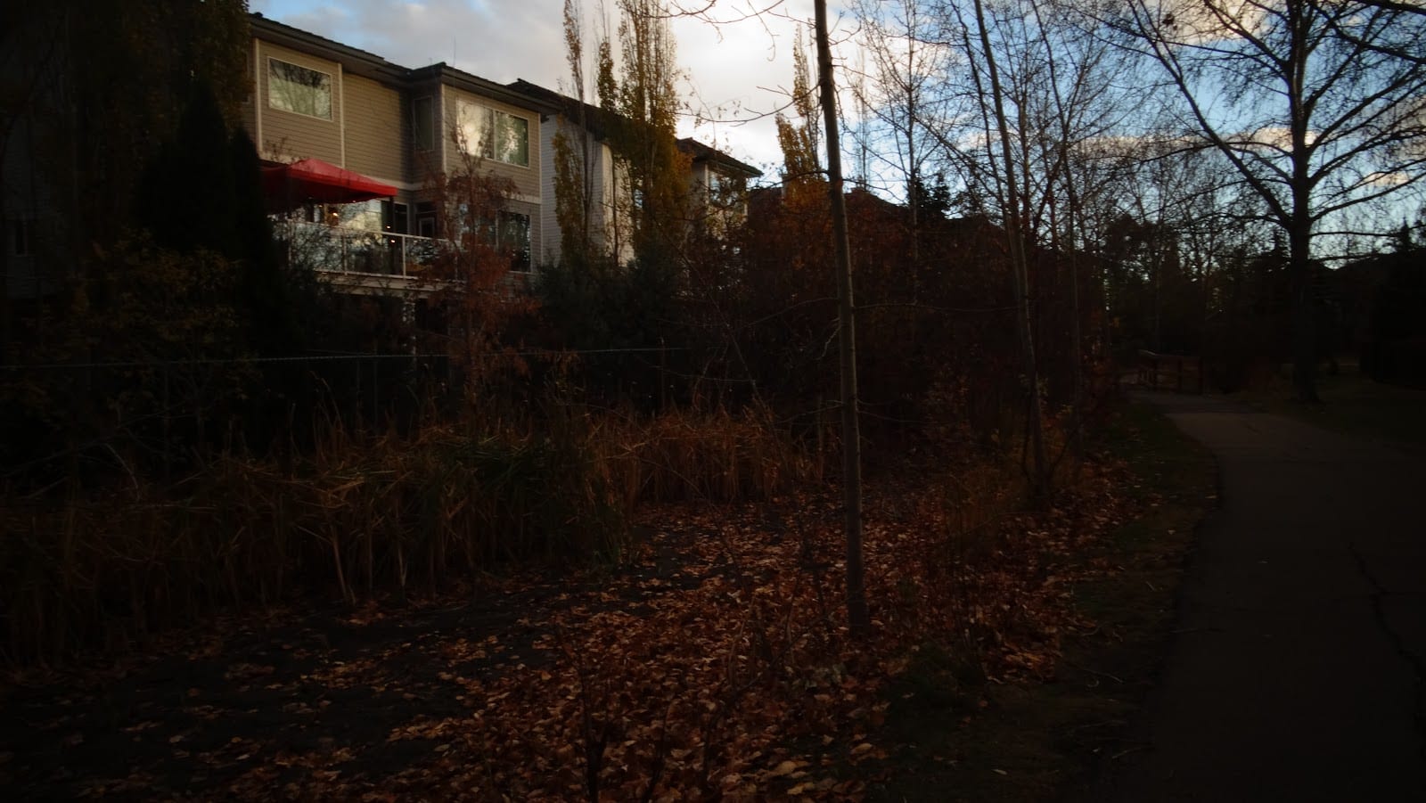 Rainbow Junction Park, photo 3