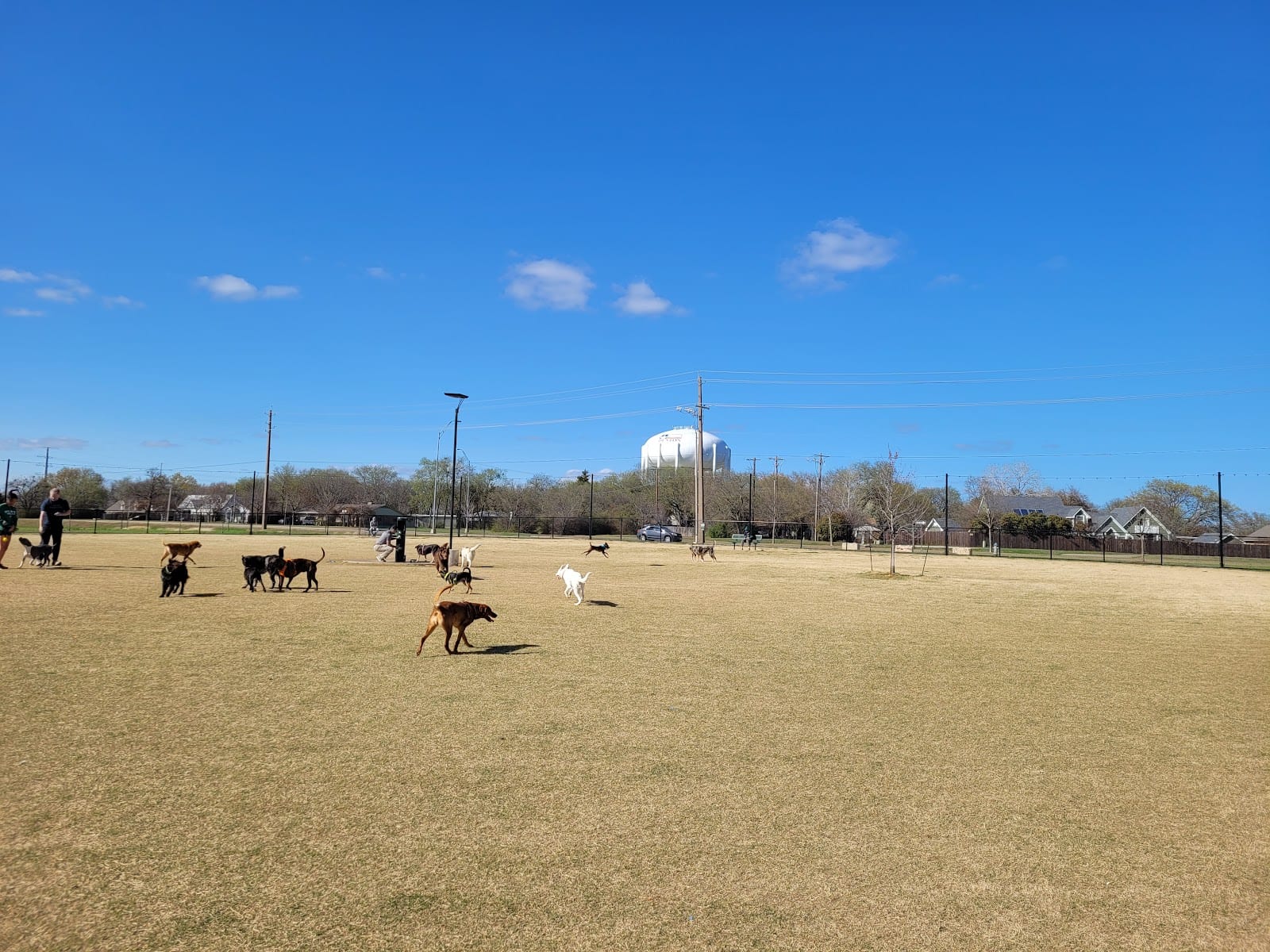 North Lakes Dog Park, photo 2