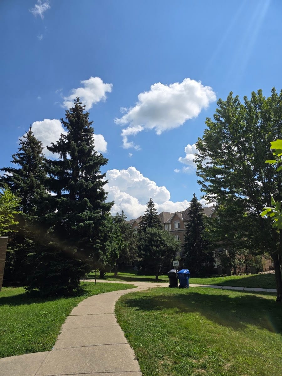 Northtown Park