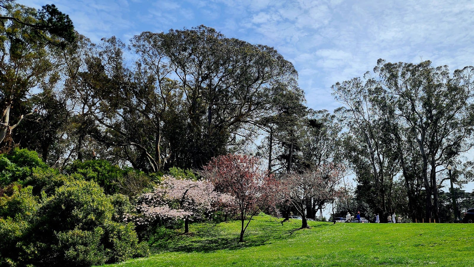 Marx Event Meadow