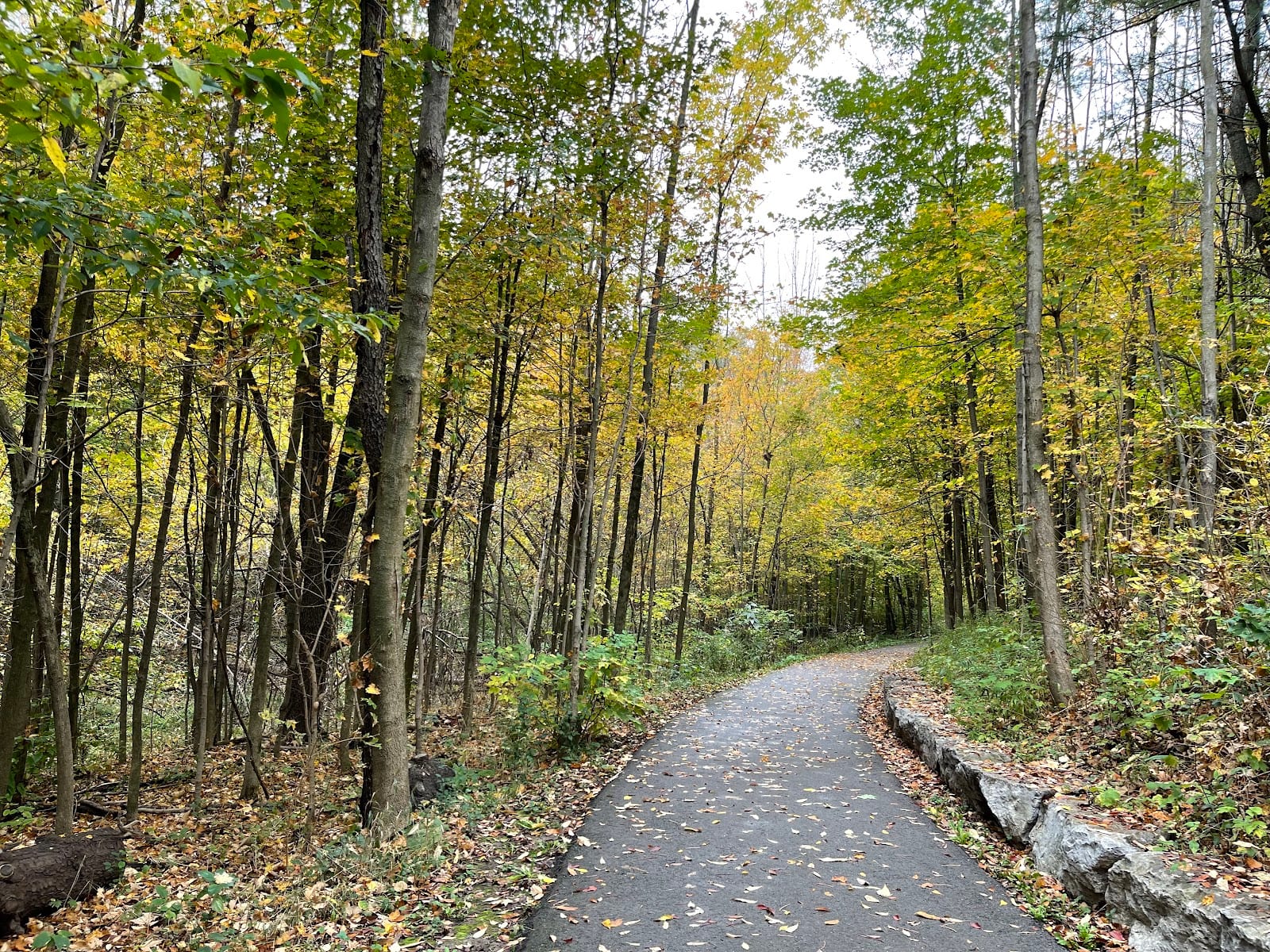 Saigeon Trail, photo 3