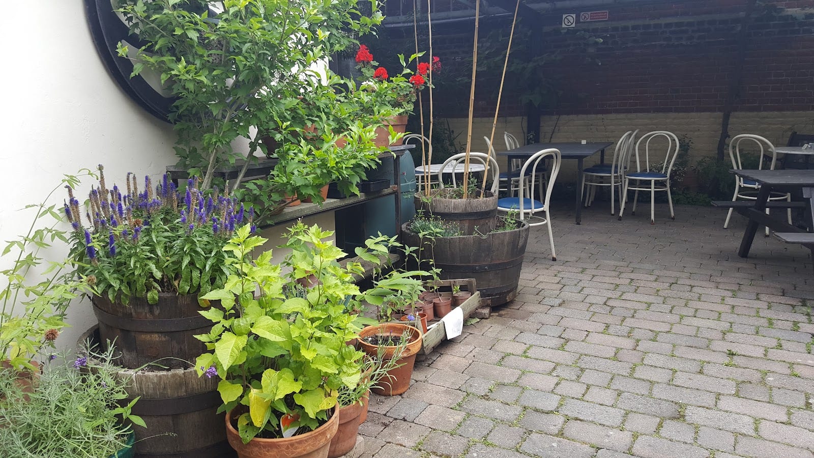 The Greenhouse Trust, photo 3