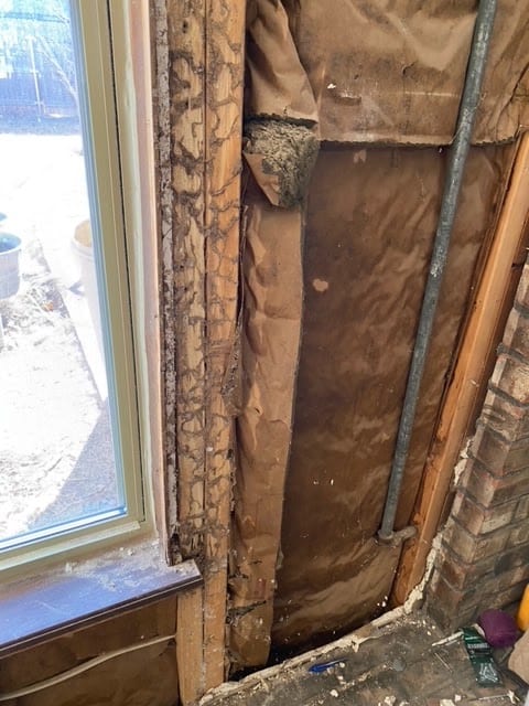 Pinkston's Pest Control, photo 2
