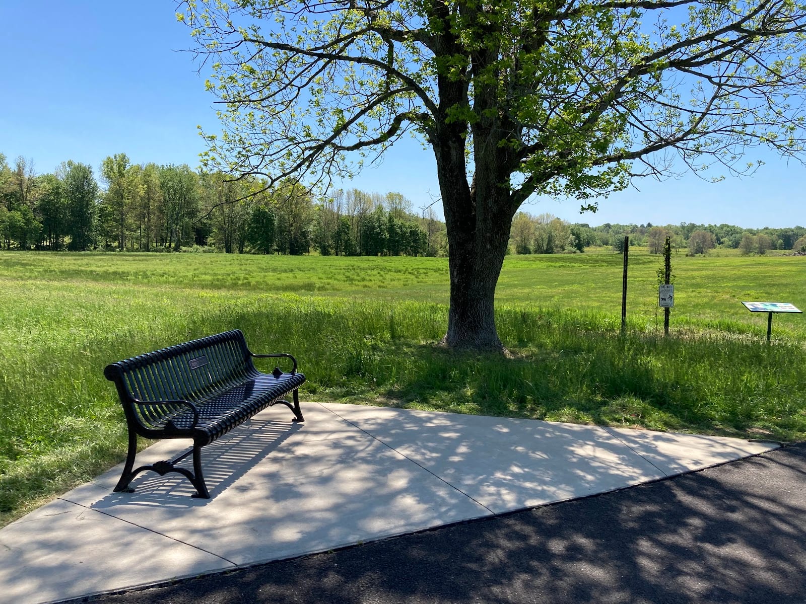 Pine Valley Park Running Trail, photo 2