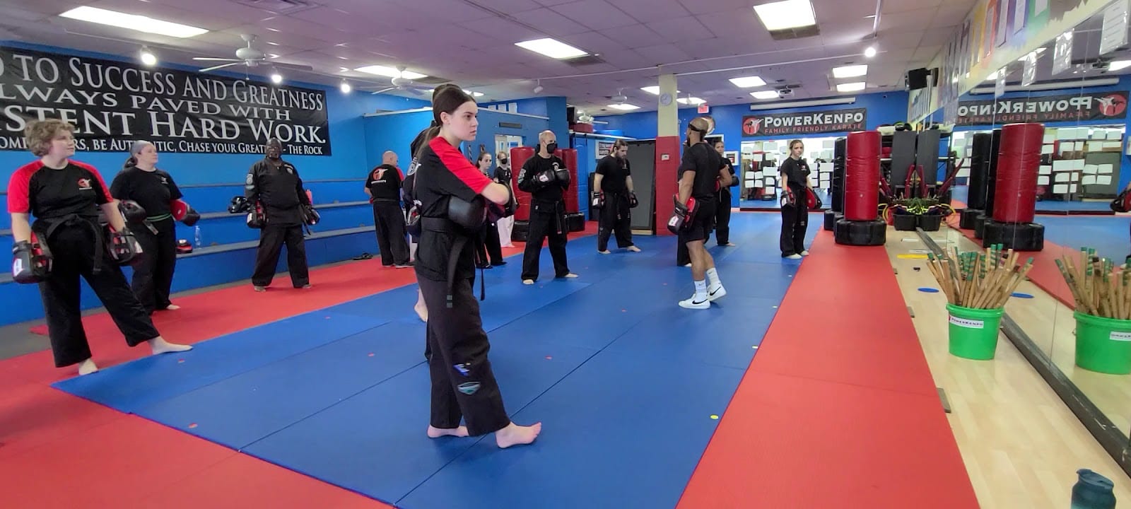Power Kenpo, photo 3