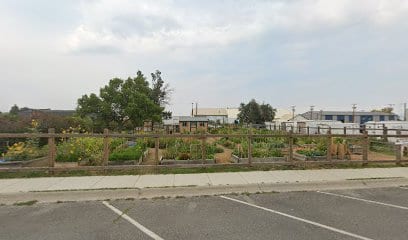 Sixth Ward Park