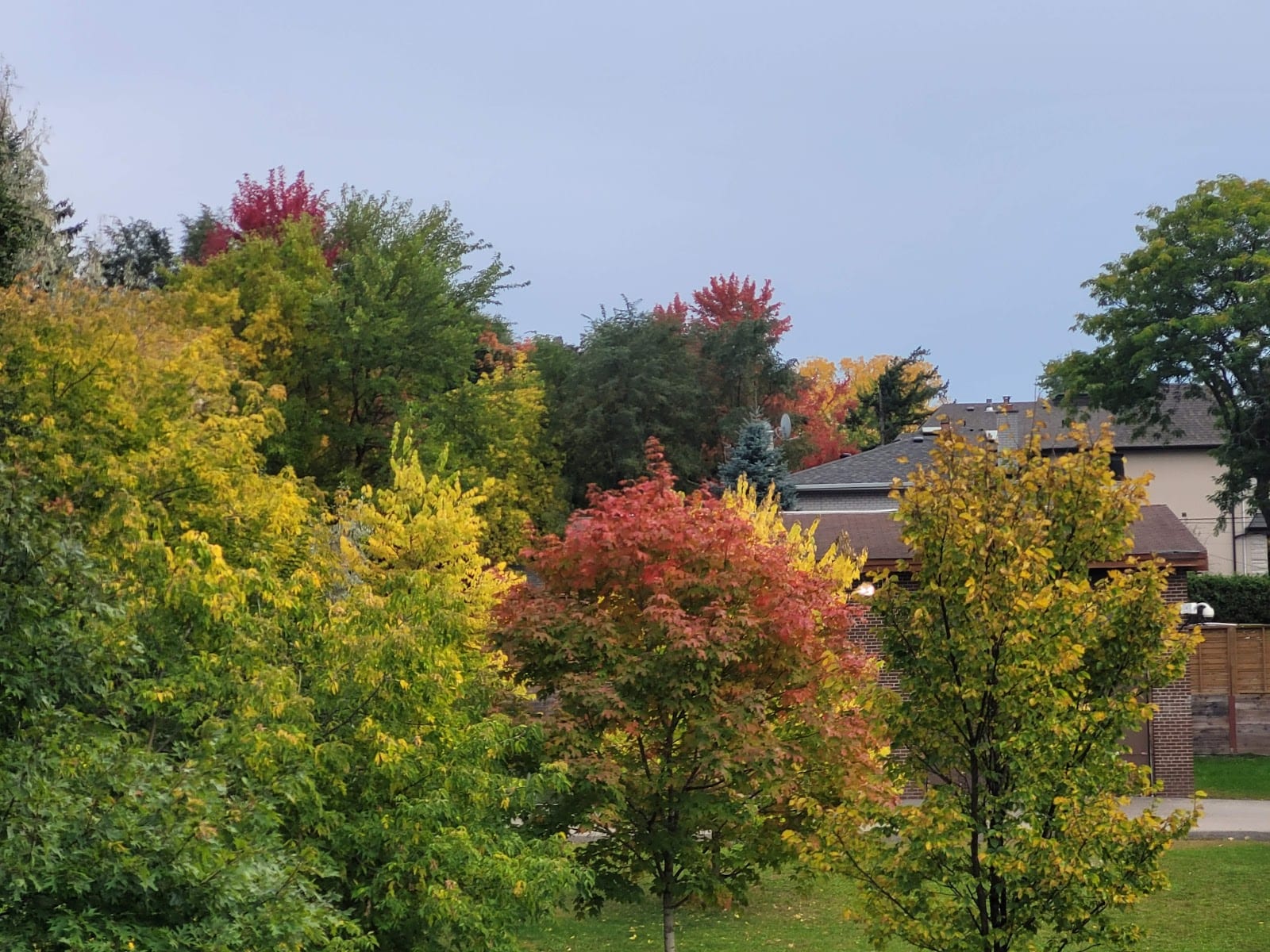 Conacher Park, photo 3