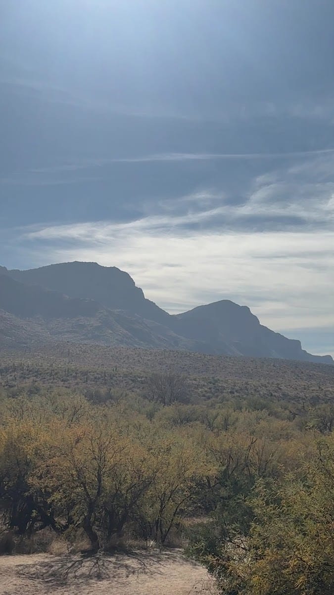 Tumamoc Hilltop, photo 2