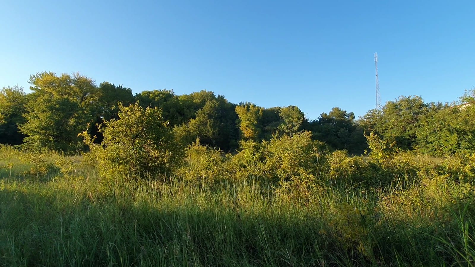 Elm Fork Trail, photo 2