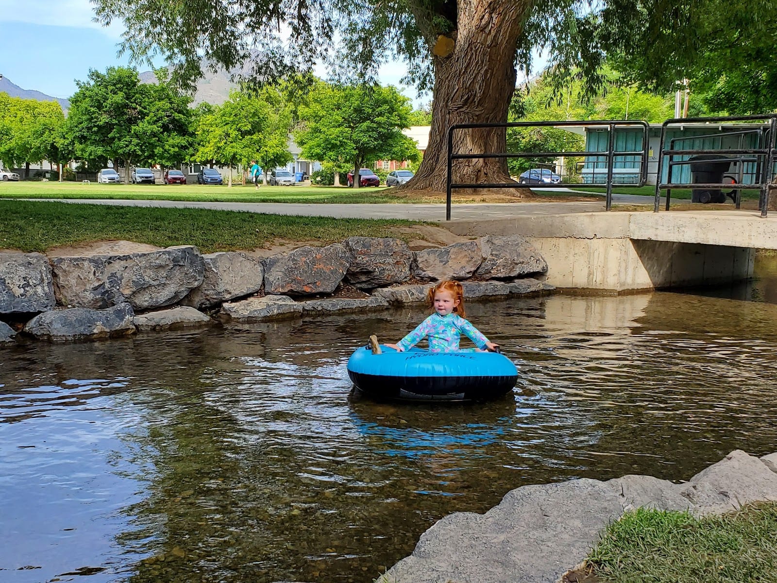 Merlin Olsen Central Park, photo 3