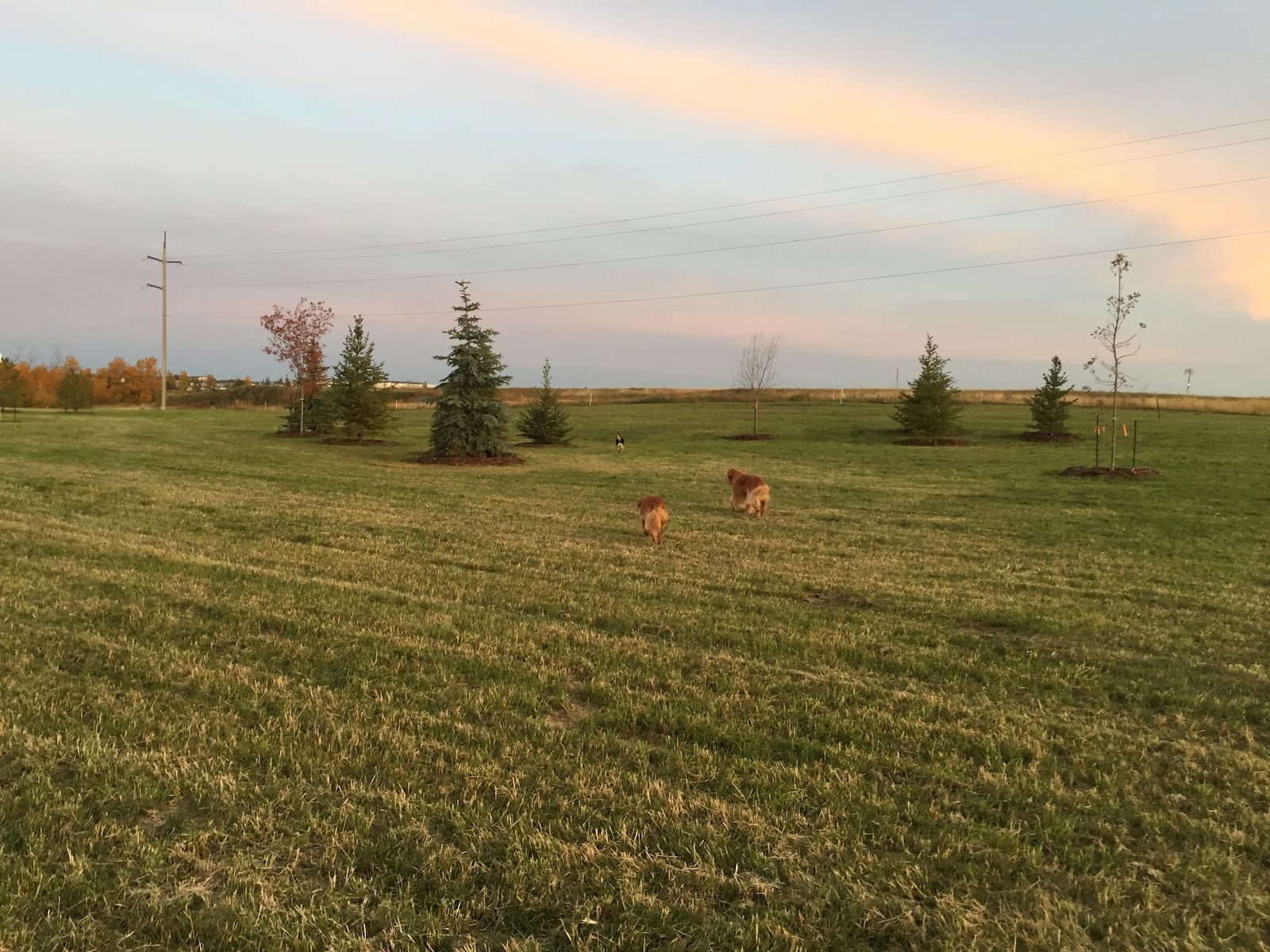 Sally Stewart Park