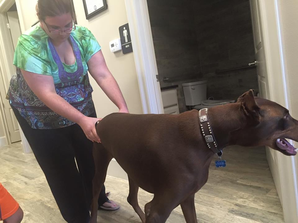 Sanders Holistic Chiropractic Center, photo 2