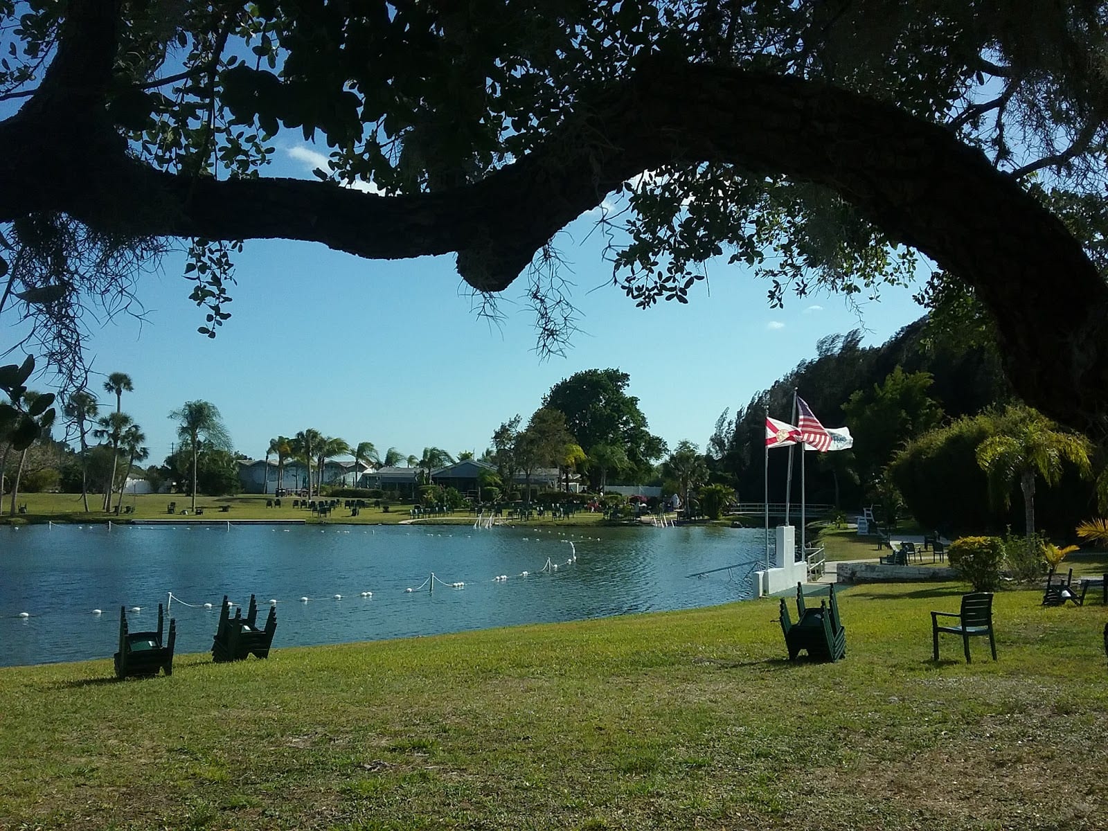 Warm Mineral Springs Park, photo 4