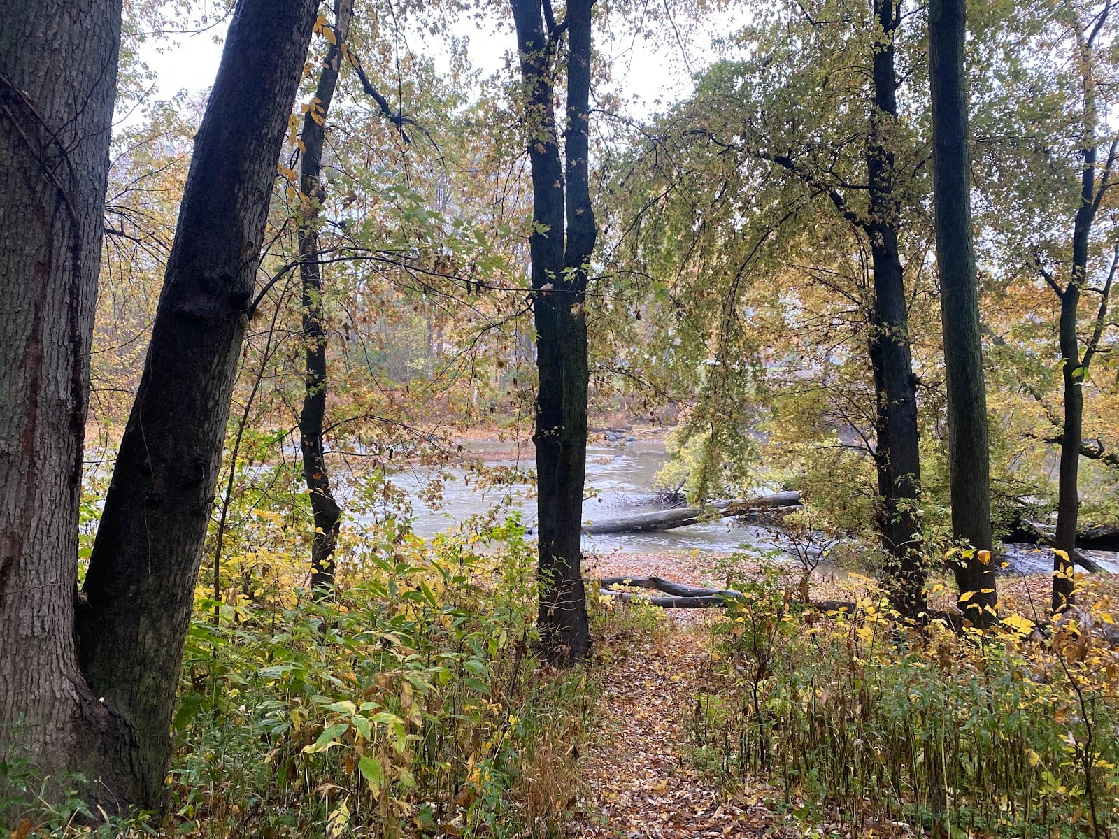 Rivergreenway trailhead, photo 2